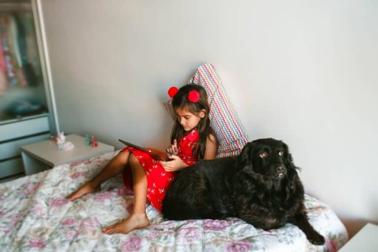 The Best Dog Beds for Large Dogs (And Why Majestic Pet Keeps Making My List)