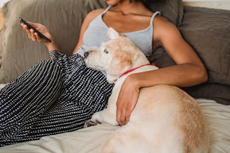 Pet Sitter Info Sheet: What Every Sitter Needs Before You Leave