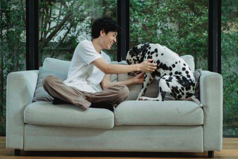 Is Pet Insurance Worth It? A Complete Guide for Dog and Cat Owners